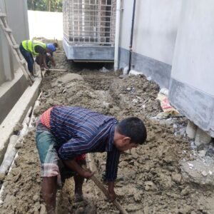 termite pest control