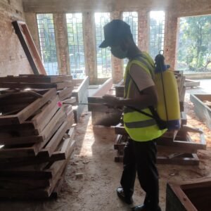 termite pest control