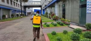 Pest Control Services