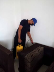 bed bug control service