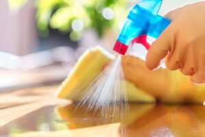 Cleaning Service