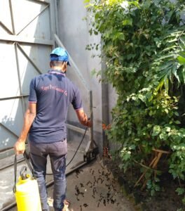 ant control services