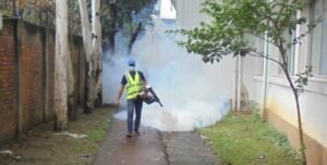 Fogging Service