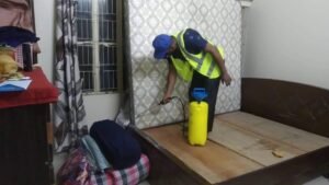 bed bug control service