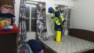 bed bug control service
