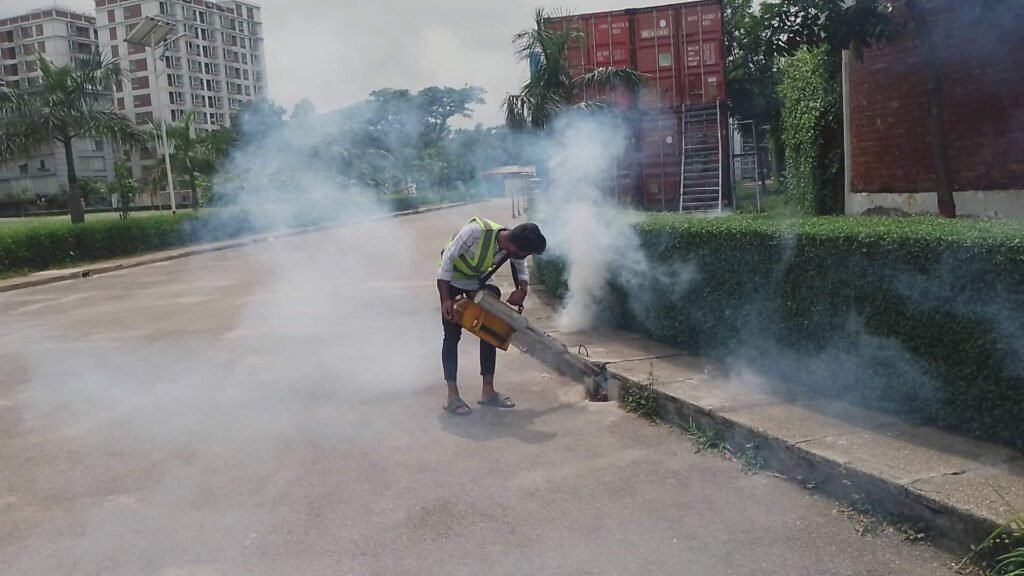 mosquito pest