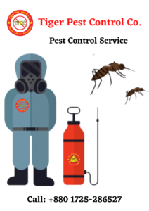 Pest Control Service