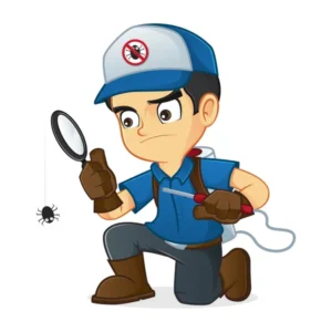 Pest Control Service