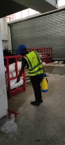 pest control Dhanmondi