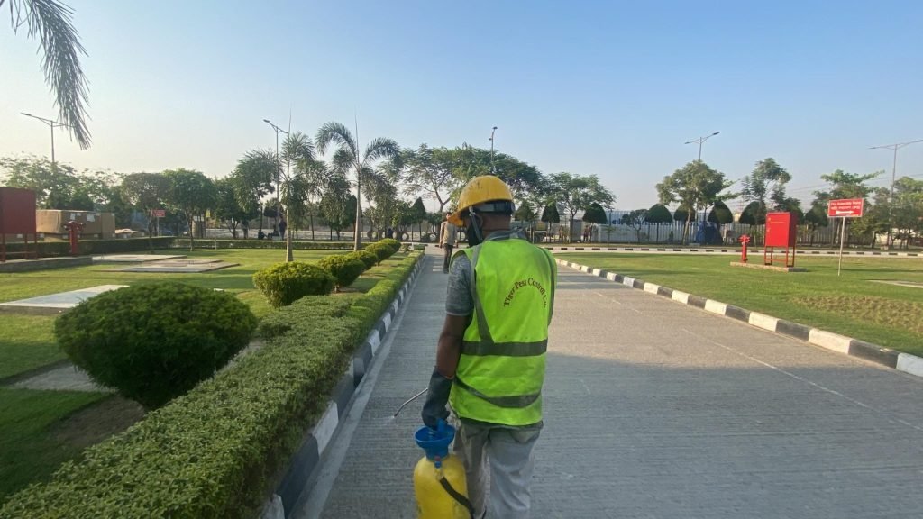 Pest Control Service Gulshan