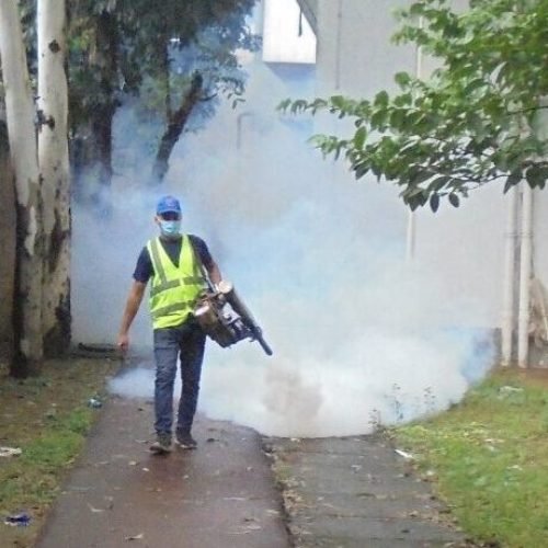 Fogging Service