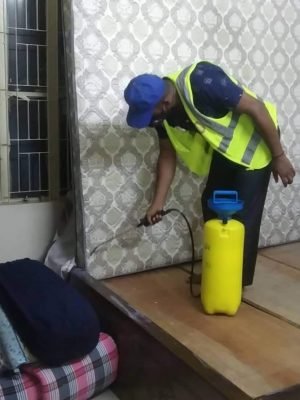 bed bug control service